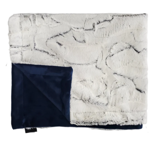 Winx+Blinx Minky Blanket