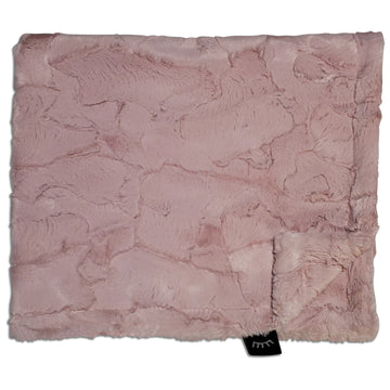 Winx+Blinx Minky Blanket