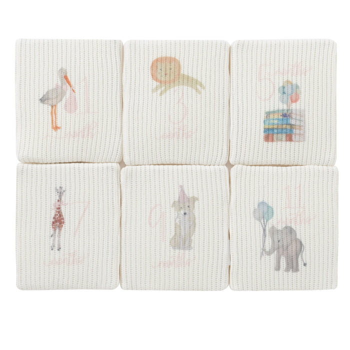 Plush Milestone Toy