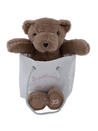 Petit Ours Teddy In A Bag