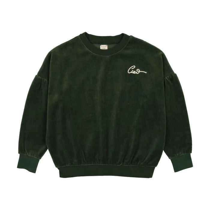 Green Velour Sweatshirt