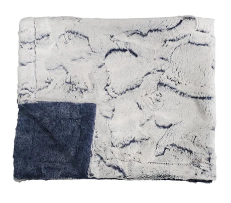 Winx+Blinx Minky Blanket