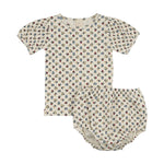 Primary Floral
