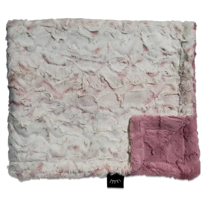 Winx+Blinx Minky Blanket